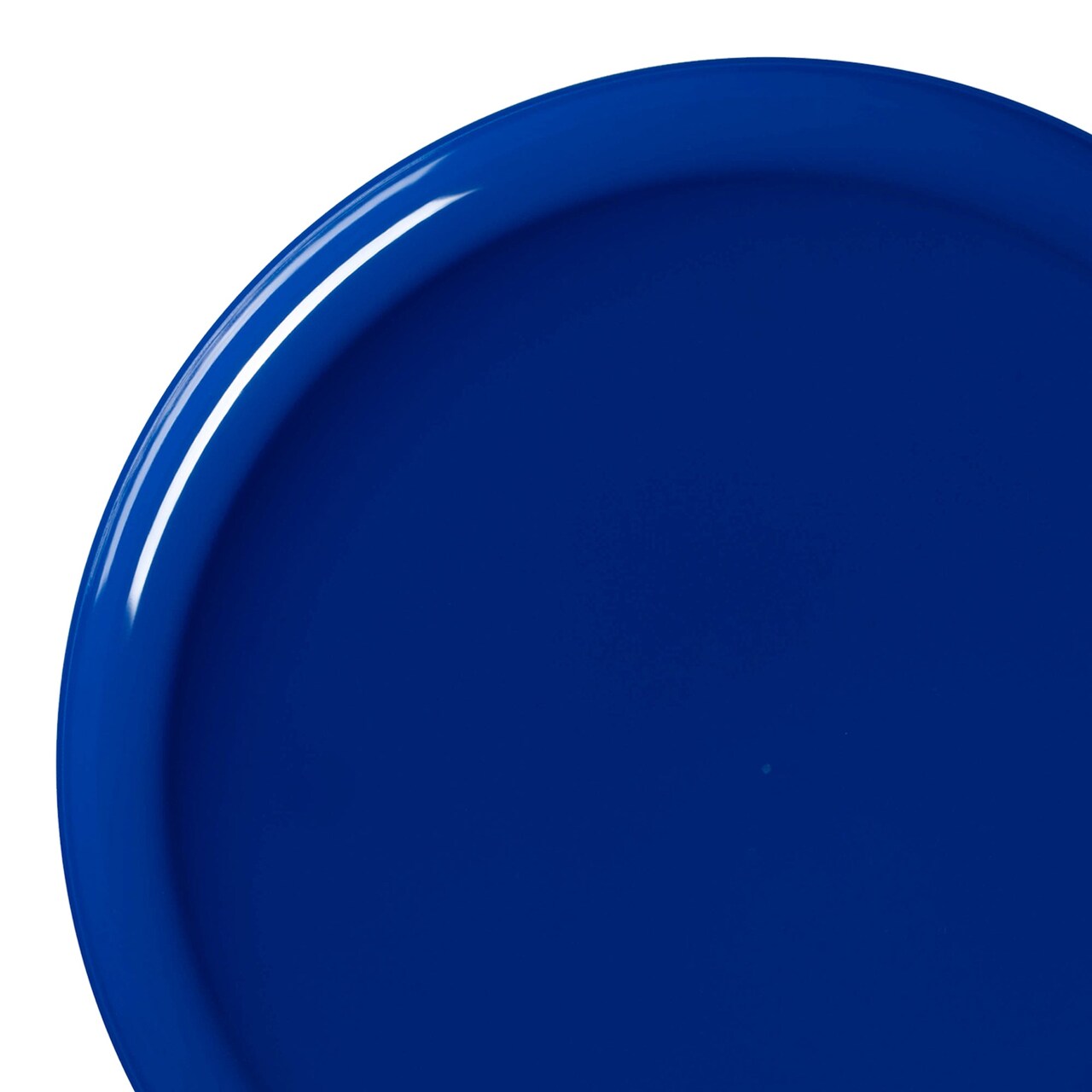 Solid Blue Flat Round Disposable Plastic Dinner Plates - 10" (120 Plates)